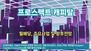 프로스펙트 캐피탈PSEC 미국의 비즈니스 개발 회사BDC Prospect Capital 월배당주 [upl. by Drape]