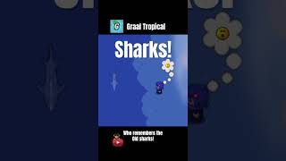 Graal Tropical  Shark Teaser [upl. by Htrowslle]