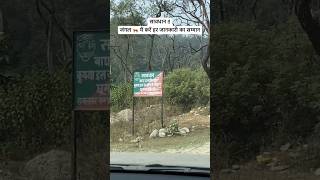 Tiger in Jim Corbett National Park  Tiger Attack Jim Corbett  Jim Corbett Maneater shorts viral [upl. by Gass713]