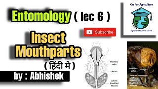 Insect mouthparts  Its type and classification  Entomology lec 6  Go For Agriculture [upl. by Stephenie]