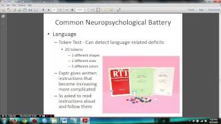 Psychology 306 Biopsychology Exam 2 Part 2 Chapter 5 [upl. by Novyart]