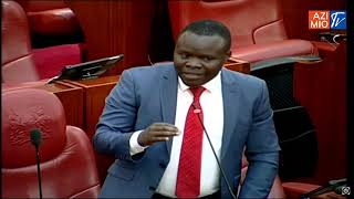 Senate Erupts as Oketch speaks on abduction says It is within Structured Authorities of Governance [upl. by Tiana]