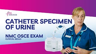 NMC OSCE  Catheter Specimen of Urine Clinical Skill  OSCE Guide [upl. by Dieter]