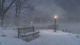 Snowy Winter Park Ambience amp Sounds  Howling Snowstorm Ambience Snow Blizzard White Noise [upl. by Santiago]