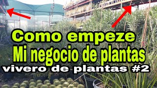 Como empeze mi negocio de plantasvivero plant nursery 2 [upl. by Enirrok261]