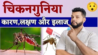 चिकनगुनिया क्यों होता है क्या है लक्षण कारण और इलाज  Chikungunya Causes Symptoms amp Treatment [upl. by Alyssa]