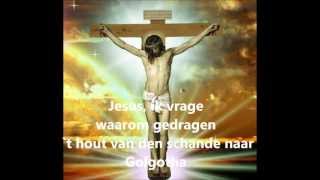 O Jesu zoet gekleurd met bloed door kroon en geselroede ORGEL SAMENZANG [upl. by Relyhcs]