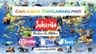 Canlıların Sınıflandırılmasıİki Farklı Seslendirme Tek Video [upl. by Nivag]