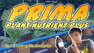 Prima Solutions  Nutrients Solution for Hydroponics [upl. by Imoen429]