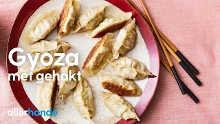 Gyoza maken met gehakt  Recept  Allerhande [upl. by Lennej]