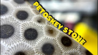 Polishing a PETOSKEY STONE feat Michigan Rocks  Lapidary [upl. by Balough]