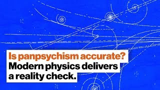 Is panpsychism accurate Modern physics delivers a reality check  Dr Susan Schneider  Big Think [upl. by Bates]