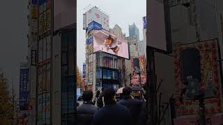 Experience the Magic Shinjuku 3D Billboard in Action [upl. by Juley]