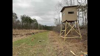 Building a 6ft X 6ft deer shooting house [upl. by Alakim617]