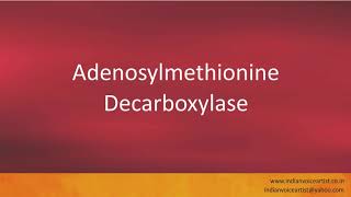 Pronunciation of the words quotAdenosylmethionine Decarboxylasequot [upl. by Trueman]