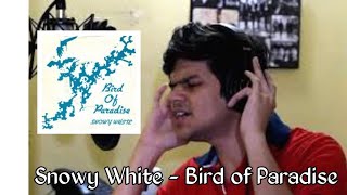 Snowy White  Bird of Paradise Cover by Siddhesh Kamat [upl. by Lasala]