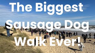 THE BIGGEST SAUSAGE DOG WALK EVER [upl. by Stacee491]