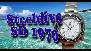 Steeldive SD 1970 White Willard [upl. by Dunstan]