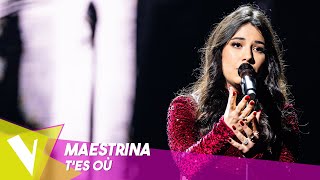 Camille Lellouche  Tes où  ● Maestrina  Live 1  The Voice Belgique Saison 11 [upl. by Renato916]