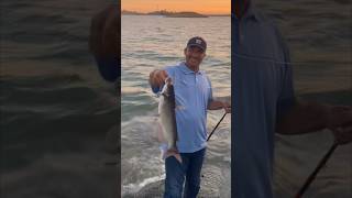 Catfishing Millerton Lake Ca [upl. by Niwled]