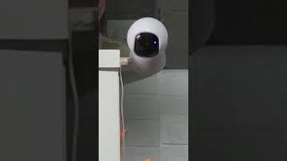 Security camera edit 1 [upl. by Kinnie133]