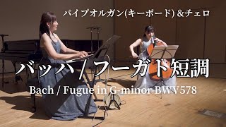 バッハ  フーガト短調 BWV578 小フーガト短調 [upl. by Glanti]