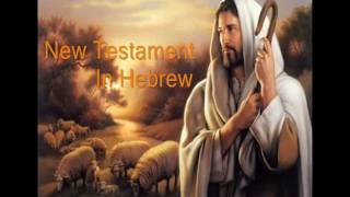 9 Hebrew Audio Bible New Testament Matthew Chapters 1617 [upl. by Ayk]