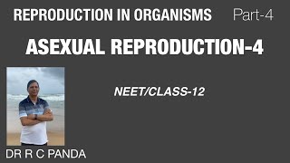 ASEXUAL REPRODUCTION4  REPRODUCTION IN ORGANISMS PART4  NEET  CLASS12  Dr Ramesh Panda [upl. by Wolliw]