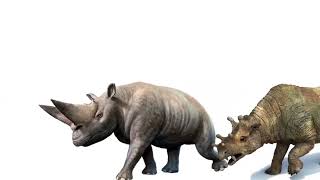 REMASTERED Cenozoic Beasts Size Comparison [upl. by Even]