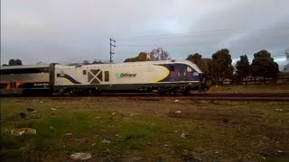 Amtrak Train 733 2016 Siemens Charger SC44 2100 Series Capital Corridor train at South Street [upl. by Ventre]