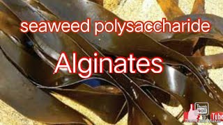 Seaweeds polysaccharide Alginates in Hindi [upl. by Ashti296]