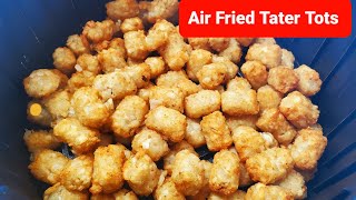 How to cook Frozen food in Air Fryer  Ore Ida Tater Tots  Air Fryer Cooking Tips [upl. by Gregorio561]