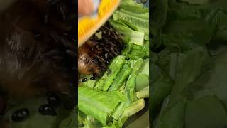 Easy fresh romaine lettuce wcanfrieddace salted black beans chinesericedishes shortvideo [upl. by Solorac324]