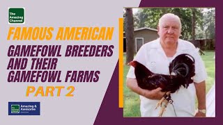 AMAZING SPORTS HOBBY  Famous American Gamefowl Breeders and their Gamefowl Farms Part 2 [upl. by Pippa]