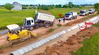 Amazing First Start a new PROJECT 8T Dump Trucks ampBulldozer D31P Delete Organic Drainage System [upl. by Yendroc]