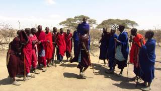 quotAdumuquot Jumping Dance at a Maasai Village in Ngorongoro Conservation Area Tanzania [upl. by Ingold]