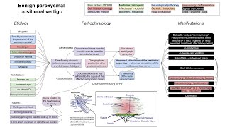 Benign paroxysmal positional vertigo BPPV mechanism of disease [upl. by Salesin864]