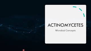 All about ACTINOMYCETES  Actinobacteria  Classification and Life cycle  Economic importance [upl. by Eelymmij]