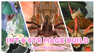 Toram Online INT amp STR Mage Build Low to Mid budget toram toramonline [upl. by Memory]