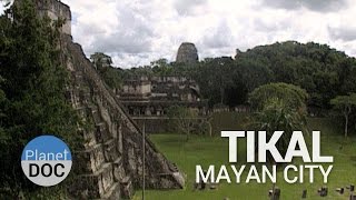 Tikal Mayan City  History  Planet Doc Full Documentaries [upl. by Adihsaar]