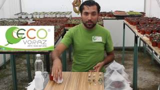 Preguntas y Respuestas ll Eco Voraz [upl. by Eniron710]