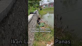 Hari libur gak mancing rugi dong [upl. by Ermine]