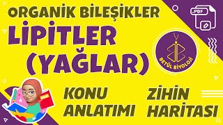 Lipitler Yağlar  TYT Biyoloji  9 Sınıf Biyoloji yks2022 lipitler TYTbiyoloji [upl. by Alix]