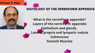 HISTOLOGY OF THE VERMIFORM APPENDIX [upl. by Anauqat]