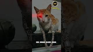 Handmade silver chain chain silvermaking silverchains jewelry cat catlover puresilver [upl. by Ainavi775]