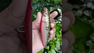 Tox Handmade stick bait lure fishing handmade srilanka [upl. by Eesac115]