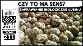 ZAPRAWIANIE BIOLOGICZNE ĹUBINU CZY TO MA SENS  HEKTAR WIEDZY 2024 [upl. by Noby]