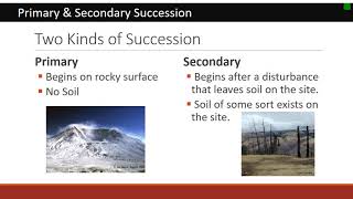 Rangeland Succession [upl. by Irahcaz41]