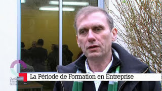 La période de formation en entreprise [upl. by Inalawi43]