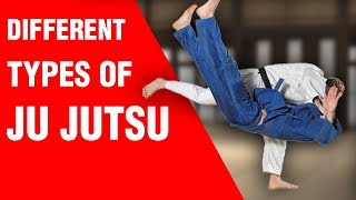 Different Types of Ju Jutsu  ART OF ONE DOJO [upl. by Elexa]